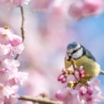 A bird sitting on the branch of a tree