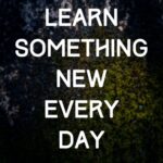 A picture of some trees with the words " learn something new every day ".